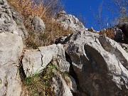 Monte San Martino (1080 m) ad anello da Rancio (Lecco)– 16dic24 -  FOTOGALLERY